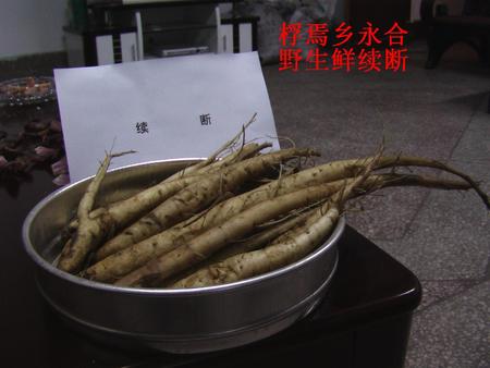 续断